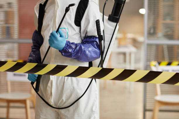 Professional Sewage Cleanup technician working in Grove City, FL