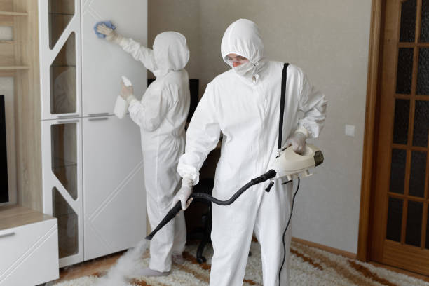 24/7 Emergency Sewage Cleanup experts in Grove City, FL