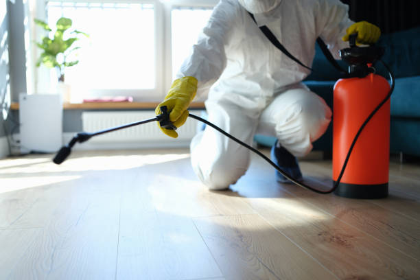 Reliable Sewage Cleanup contractor in Grove City, FL by Trauma Clean Pros